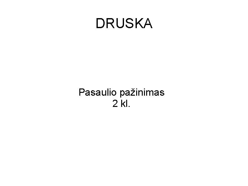 DRUSKA Pasaulio pažinimas 2 kl. 