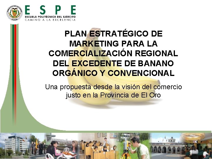 PLAN ESTRATÉGICO DE MARKETING PARA LA COMERCIALIZACIÓN REGIONAL DEL EXCEDENTE DE BANANO ORGÁNICO Y PLAN ESTRATÉGICO DE MARKETING PARA LA COMERCIALIZACIÓN REGIONAL DEL EXCEDENTE DE BANANO ORGÁNICO Y