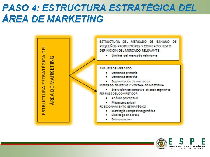 PASO 4: ESTRUCTURA ESTRATÉGICA DEL ÁREA DE MARKETING PASO 4: ESTRUCTURA ESTRATÉGICA DEL ÁREA DE MARKETING
