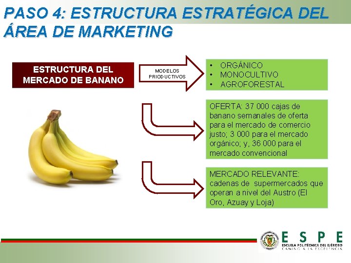 PASO 4: ESTRUCTURA ESTRATÉGICA DEL ÁREA DE MARKETING ESTRUCTURA DEL MERCADO DE BANANO MODELOS PASO 4: ESTRUCTURA ESTRATÉGICA DEL ÁREA DE MARKETING ESTRUCTURA DEL MERCADO DE BANANO MODELOS