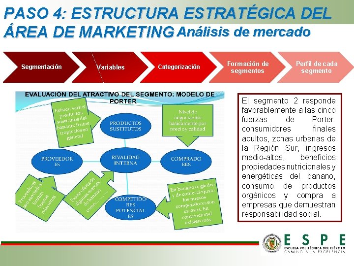 PASO 4: ESTRUCTURA ESTRATÉGICA DEL ÁREA DE MARKETING Análisis de mercado Segmentación Variables Categorización PASO 4: ESTRUCTURA ESTRATÉGICA DEL ÁREA DE MARKETING Análisis de mercado Segmentación Variables Categorización