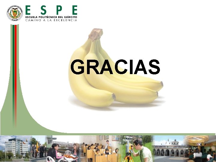 GRACIAS GRACIAS