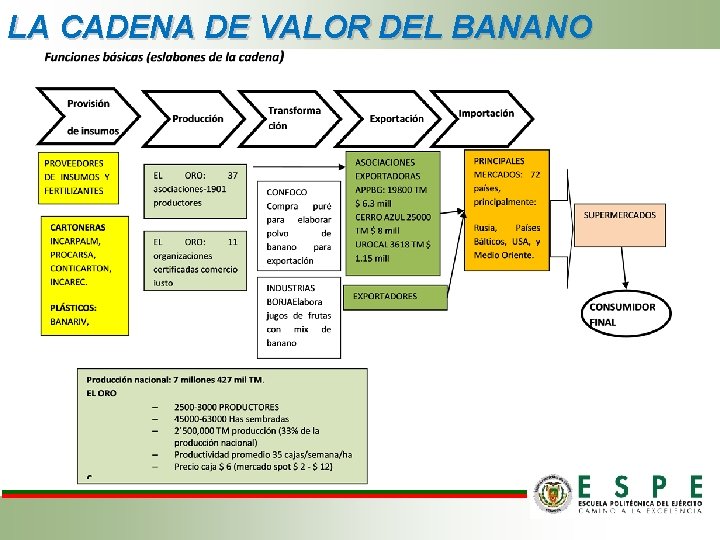 LA CADENA DE VALOR DEL BANANO LA CADENA DE VALOR DEL BANANO