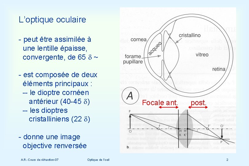 L’optique oculaire - peut être assimilée à une lentille épaisse, convergente, de 65 d