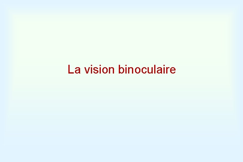 La vision binoculaire 