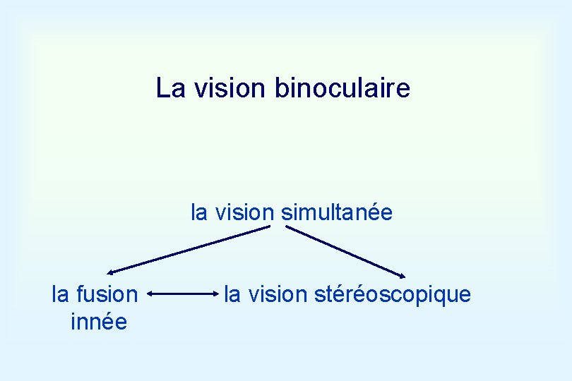 La vision binoculaire la vision simultanée la fusion innée la vision stéréoscopique 
