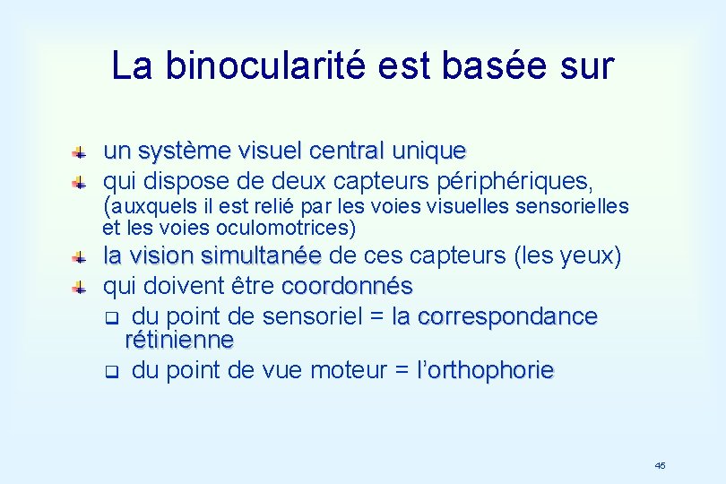 La binocularité est basée sur un système visuel central unique qui dispose de deux