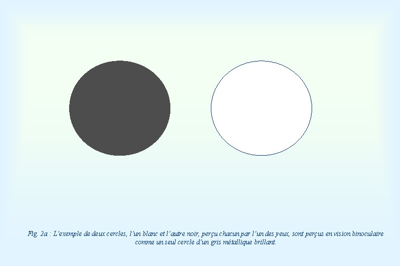 Fig. 2 a : L’exemple de deux cercles, l’un blanc et l’autre noir, perçu