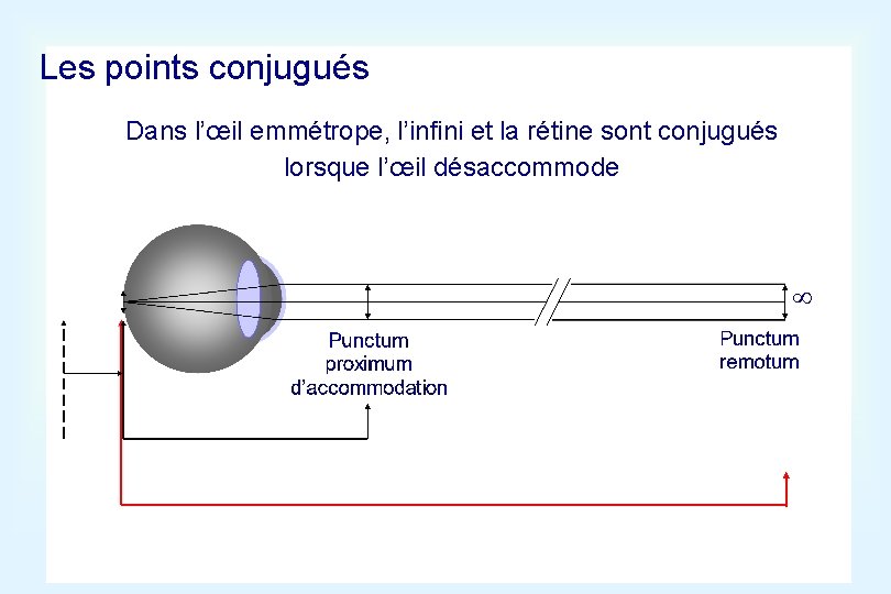 Les points conjugués Dans l’œil emmétrope, l’infini et la rétine sont conjugués lorsque l’œil