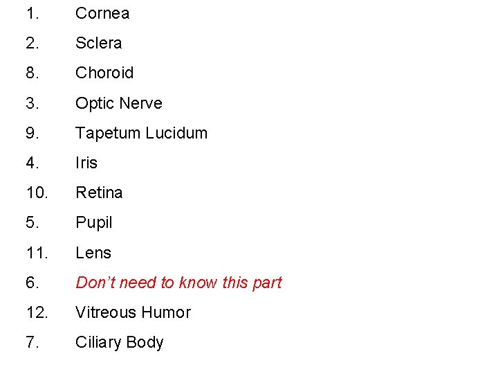 1. Cornea 2. Sclera 8. Choroid 3. Optic Nerve 9. Tapetum Lucidum 4. Iris