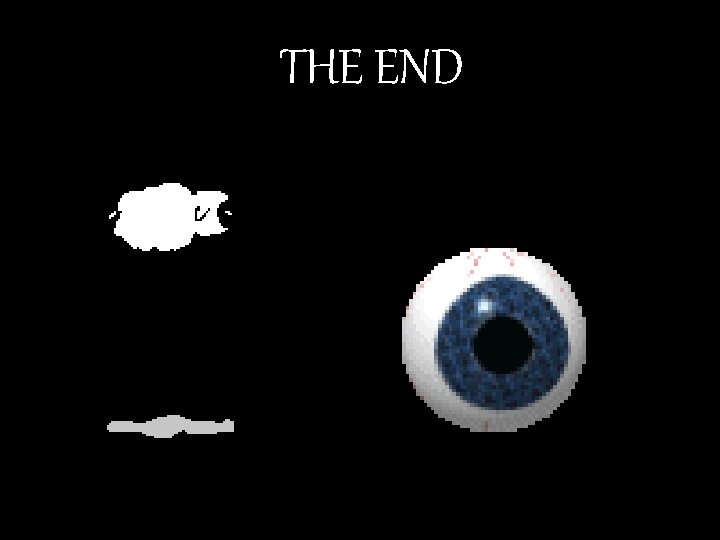 THE END 