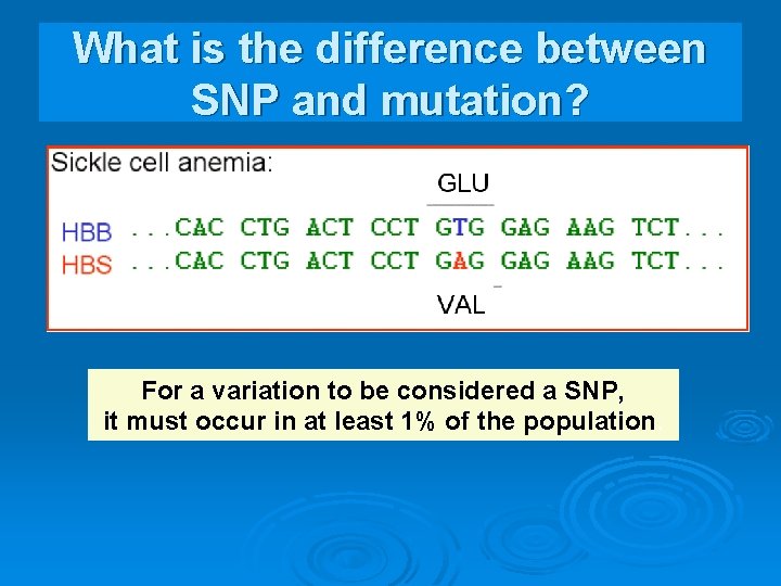 What is the difference between SNP and mutation? For a variation to be considered