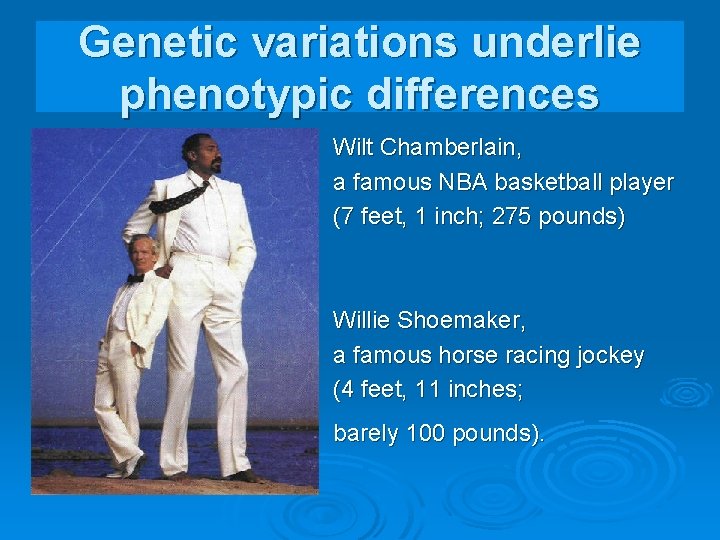 Genetic variations underlie phenotypic differences Wilt Chamberlain, a famous NBA basketball player (7 feet,