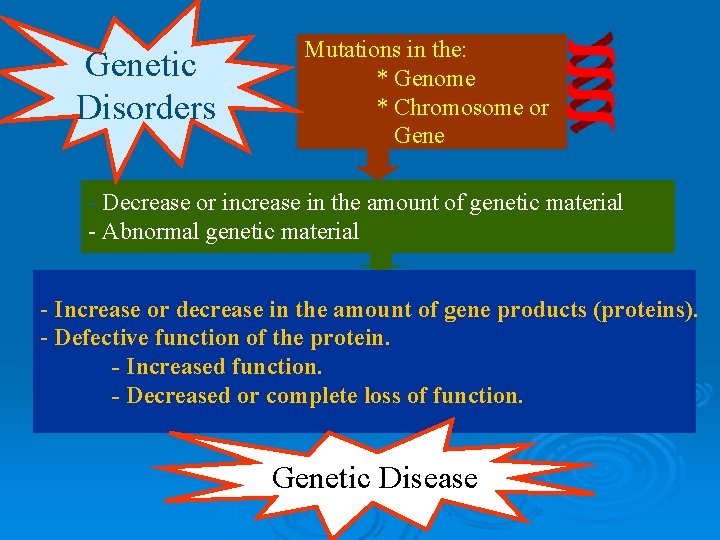 Genetic Disorders Mutations in the: * Genome * Chromosome or * Gene - Decrease