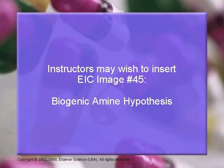 Instructors may wish to insert EIC Image #45: Biogenic Amine Hypothesis Copyright © 2002,