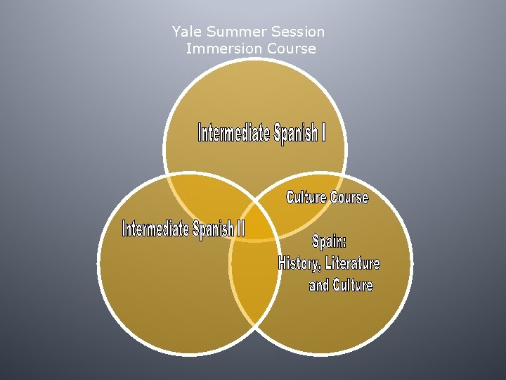 Yale Summer Session Immersion Course 