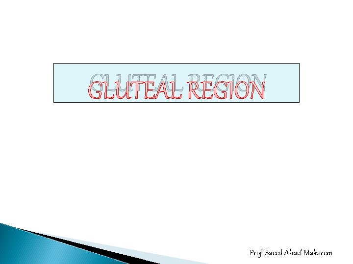 GLUTEAL REGION Prof. Saeed Abuel Makarem 