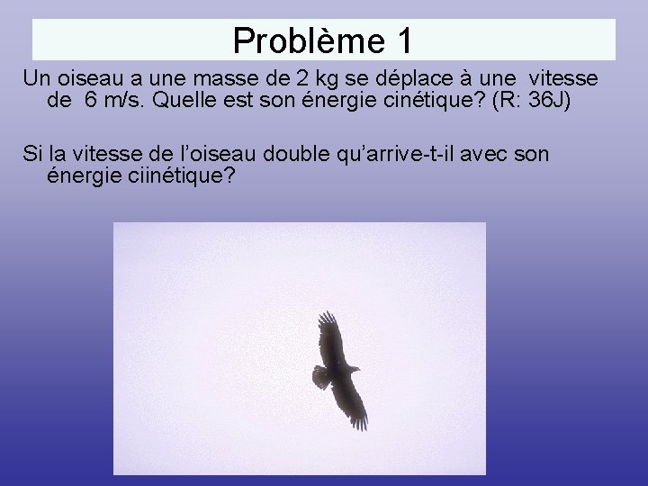 Problème 1 Un oiseau a une masse de 2 kg se déplace à une