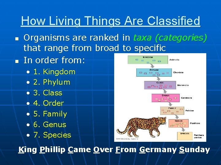 How Living Things Are Classified n n Organisms are ranked in taxa (categories) that