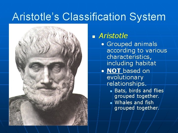 Aristotle’s Classification System n Aristotle • Grouped animals according to various characteristics, including habitat