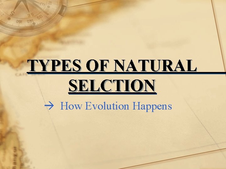 TYPES OF NATURAL SELCTION How Evolution Happens 