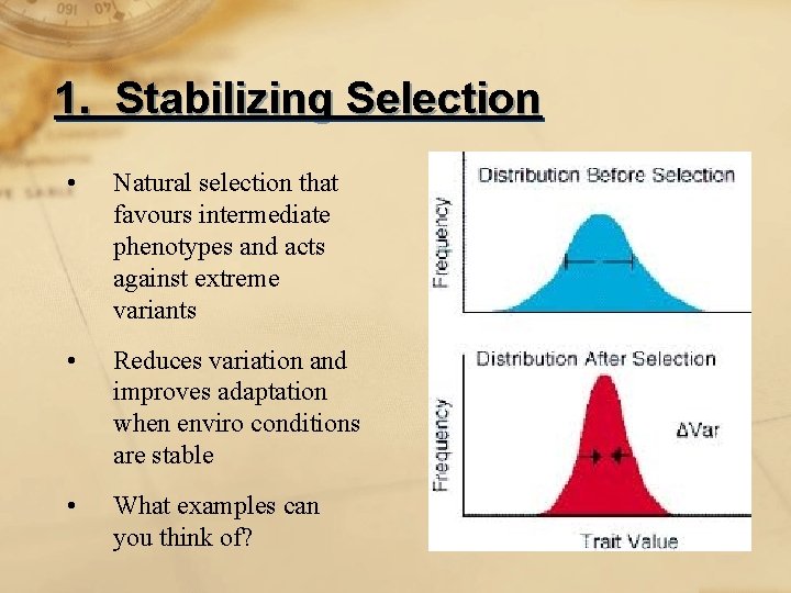 1. Stabilizing Selection • Natural selection that favours intermediate phenotypes and acts against extreme