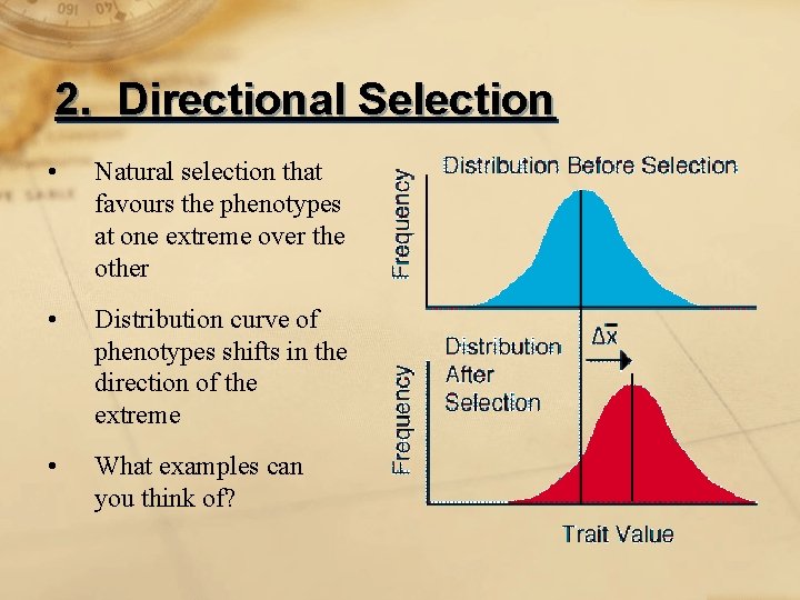 2. Directional Selection • Natural selection that favours the phenotypes at one extreme over