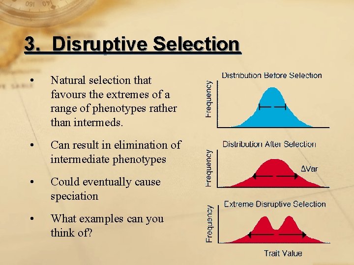 3. Disruptive Selection • Natural selection that favours the extremes of a range of