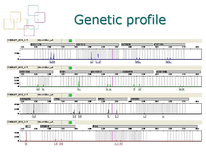 Genetic profile 