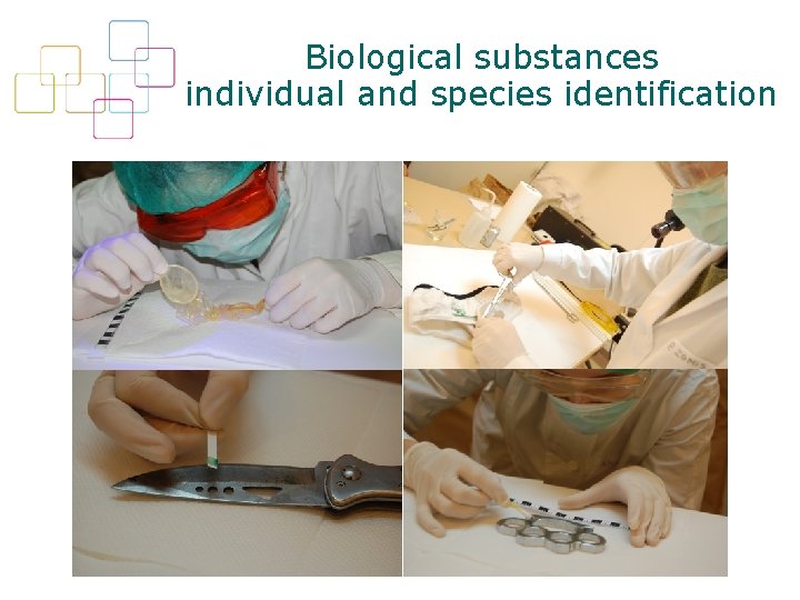 Biological substances individual and species identification 