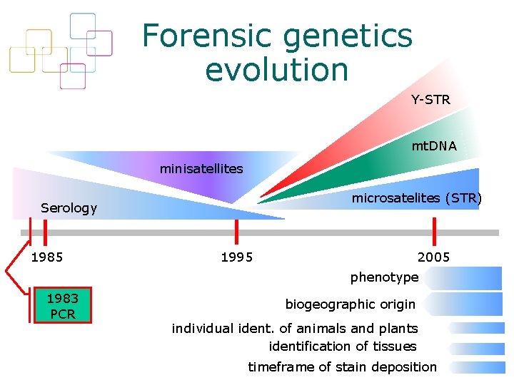 Forensic genetics evolution Y-STR mt. DNA minisatellites microsatelites (STR) Serology 1985 1995 2005 phenotype
