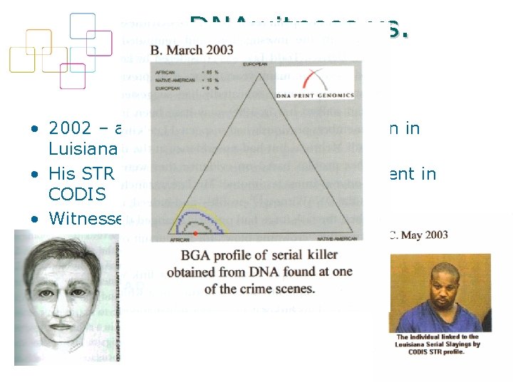 DNAwitness vs. witnesses • 2002 – a serial killer murdered 5 women in Luisiana