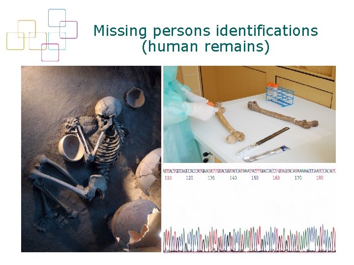 Missing persons identifications (human remains) 