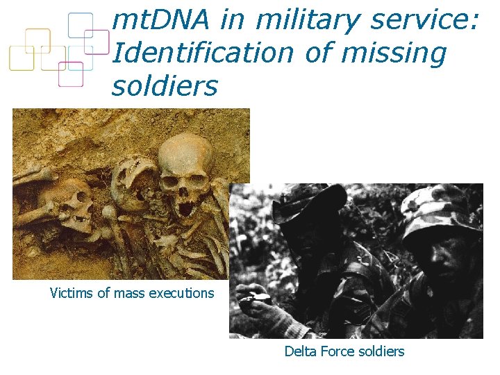 mt. DNA in military service: Identification of missing soldiers Victims of mass executions Delta