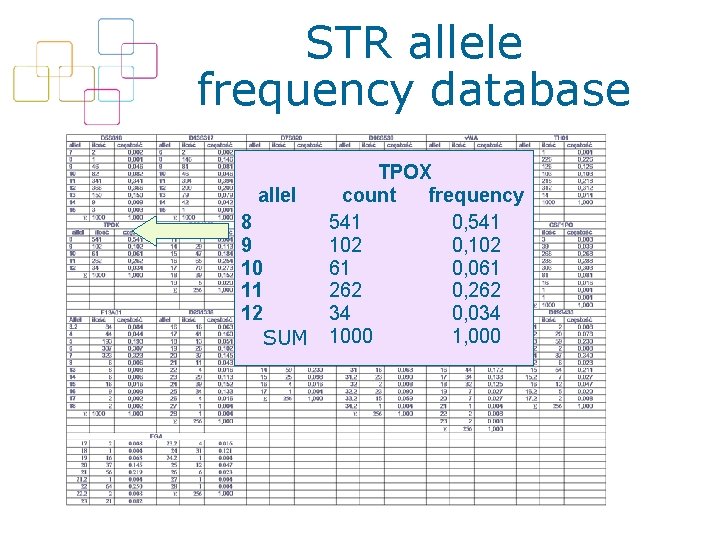 STR allele frequency database allel 8 9 10 11 12 SUM TPOX count frequency