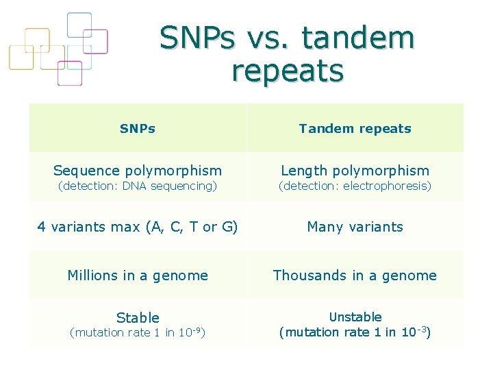 SNPs vs. tandem repeats SNPs Tandem repeats Sequence polymorphism Length polymorphism (detection: DNA sequencing)