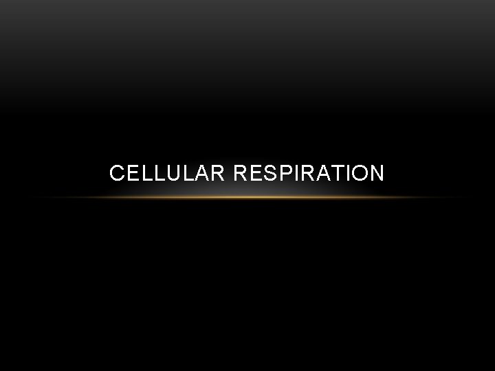 CELLULAR RESPIRATION 