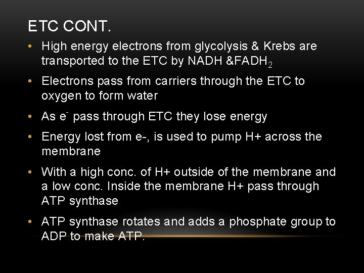 ETC CONT. • High energy electrons from glycolysis & Krebs are transported to the