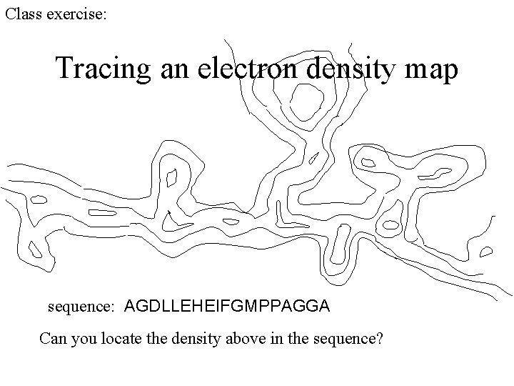 Class exercise: Tracing an electron density map sequence: AGDLLEHEIFGMPPAGGA Can you locate the density Class exercise: Tracing an electron density map sequence: AGDLLEHEIFGMPPAGGA Can you locate the density