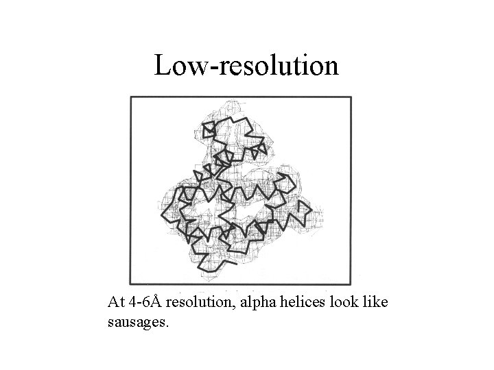 Low-resolution At 4 -6Å resolution, alpha helices look like sausages. Low-resolution At 4 -6Å resolution, alpha helices look like sausages.