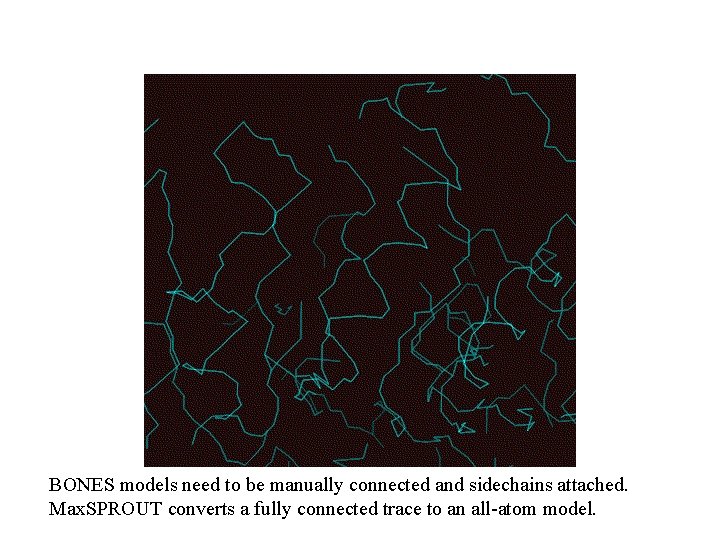 BONES models need to be manually connected and sidechains attached. Max. SPROUT converts a BONES models need to be manually connected and sidechains attached. Max. SPROUT converts a