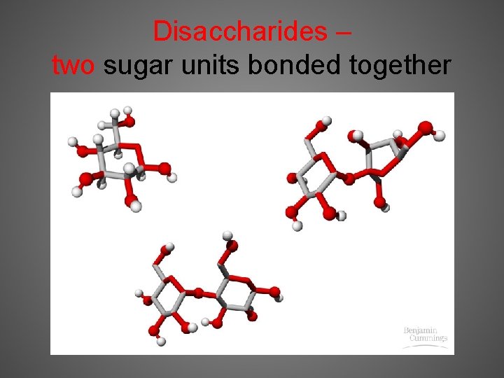 Disaccharides – two sugar units bonded together 