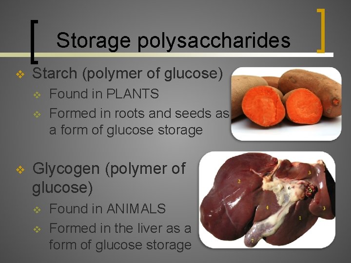 Storage polysaccharides v Starch (polymer of glucose) v v v Found in PLANTS Formed