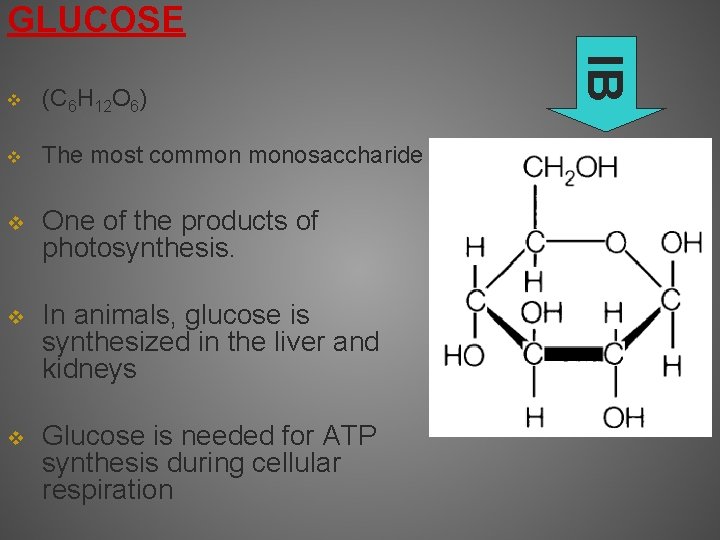 GLUCOSE (C 6 H 12 O 6) v The most common monosaccharide v One