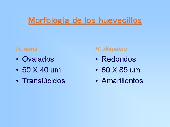 Morfología de los huevecillos H. nana H. diminuta • Ovalados • 50 X 40