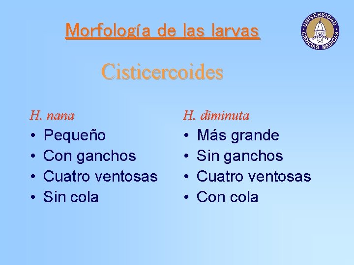 Morfología de las larvas Cisticercoides H. nana H. diminuta • • Pequeño Con ganchos