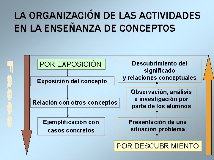 LA ORGANIZACIÓN DE LAS ACTIVIDADES EN LA ENSEÑANZA DE CONCEPTOS Descubrimiento del significado y