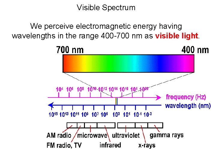 Visible Spectrum We perceive electromagnetic energy having wavelengths in the range 400 -700 nm