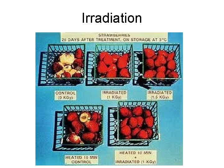 Irradiation 