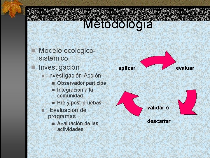 Metodología n Modelo ecologico- sistemico n lnvestigación n Investigación Acción n n Observador partícipe